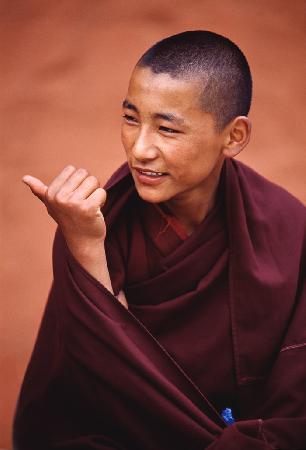 Tibetan Monk