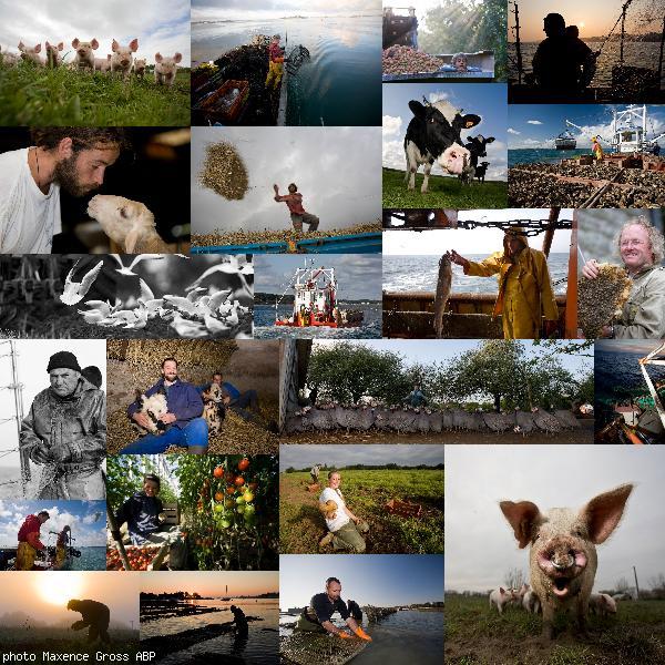 Terres et Mers de Bretagne - Dans l'objectif de Maxence Gross.