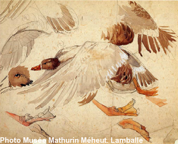 Mathurin Méheut. Oie en vol : étude.<br>36.8 x 46 cm. Musée 
Mathurin Méheut Lamballe.