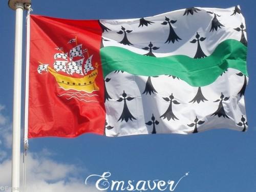 Le drapeau du pays nantais représente l'une des neufs anciennes provinces de la Bretagne historique : le pays nantais  en breton « Bro an Naoned »  correspondant à peu près aux limites du département de la Loire Atlantique.