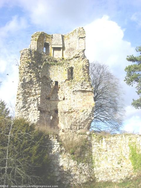 Donjon du Château de Pierre de Dreux à Saint-Aubin du Cormier. Ce château fut construit entre 1223 et 1225 par le Duc de Bretagne  et fut détruit en mai 1489  l'année suivante de la bataille  par l'armée française  sur ordre de Charles VIII