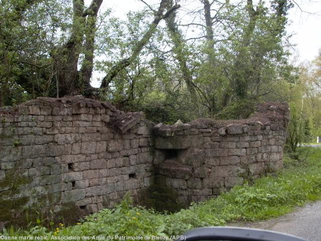 muraille du château de Rimaison