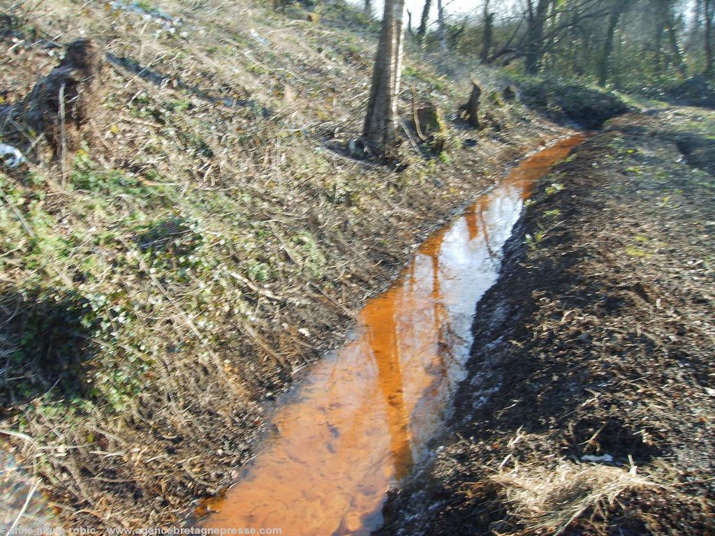 guernal 2 :  fossé bordant la décharge