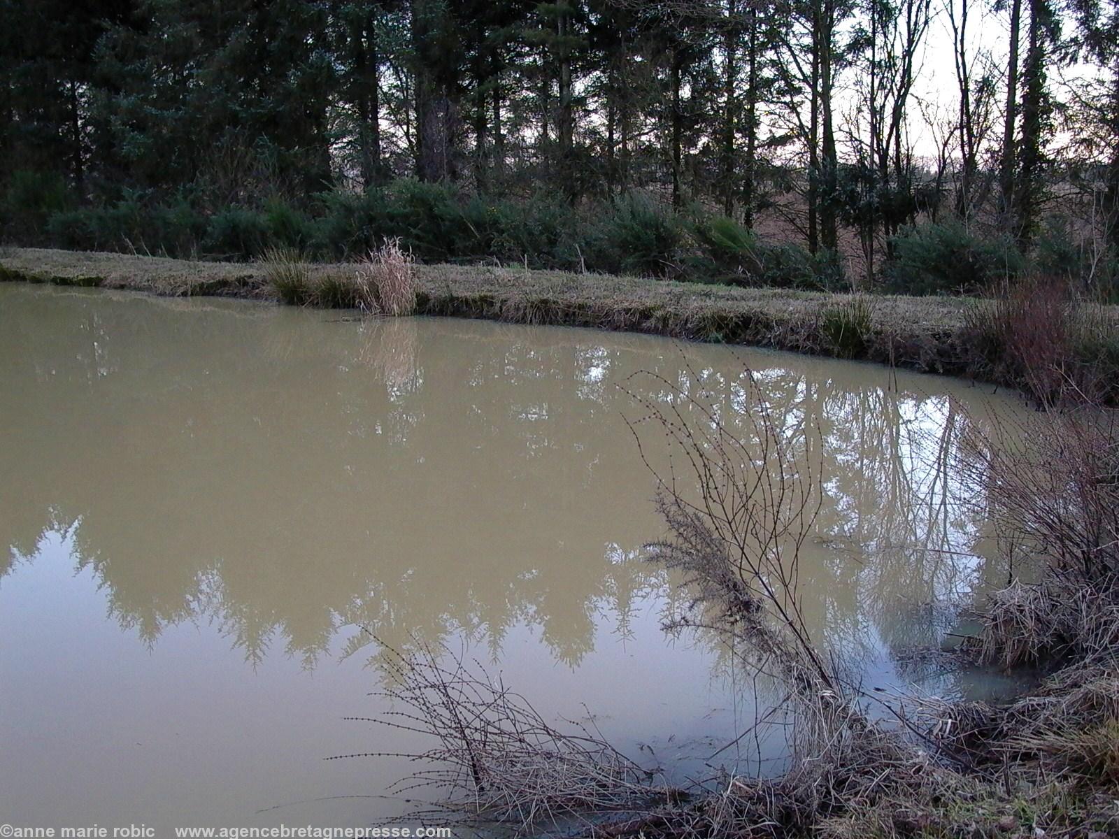 eau d\'un étang proche du centre de déchets