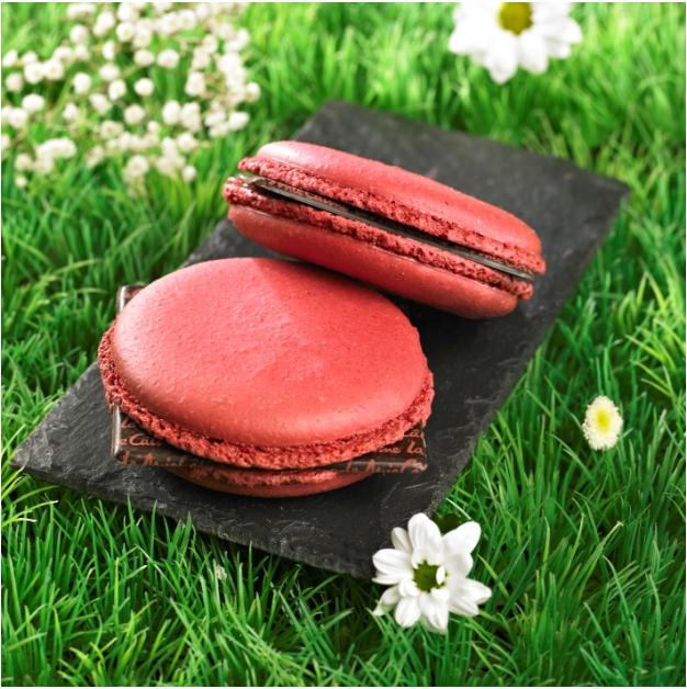 Micarons Fraise La Mie Câline