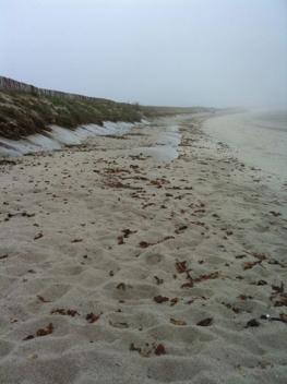 Teffiagat 12 fev 2012 (Stabiplage)