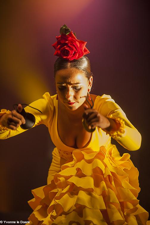 Danseuse de la Compagnie Flamenca 