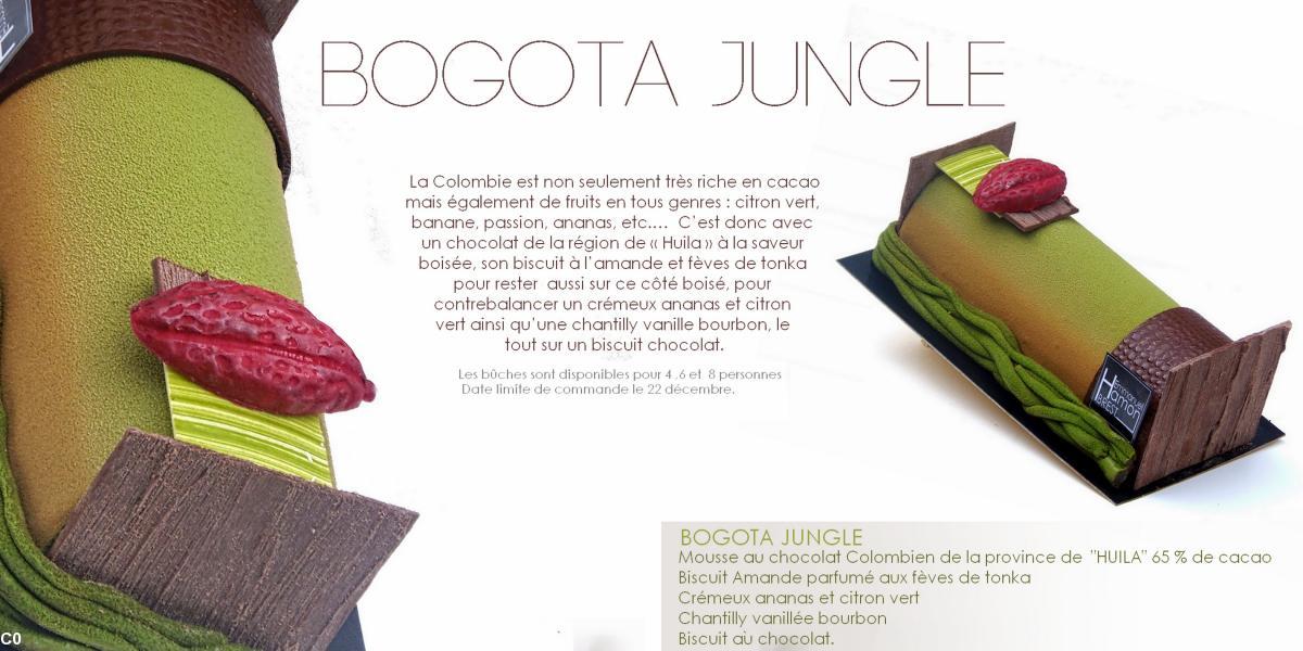 Bûche Bogota Jungle , Patisserie Emmanuel Hamon Brest