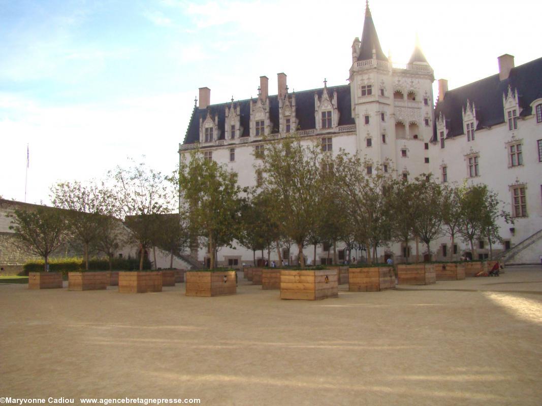 La cour du château des ducs de Bretagne à Nantes avec les arbres en caisses (ph. sept. 2012).