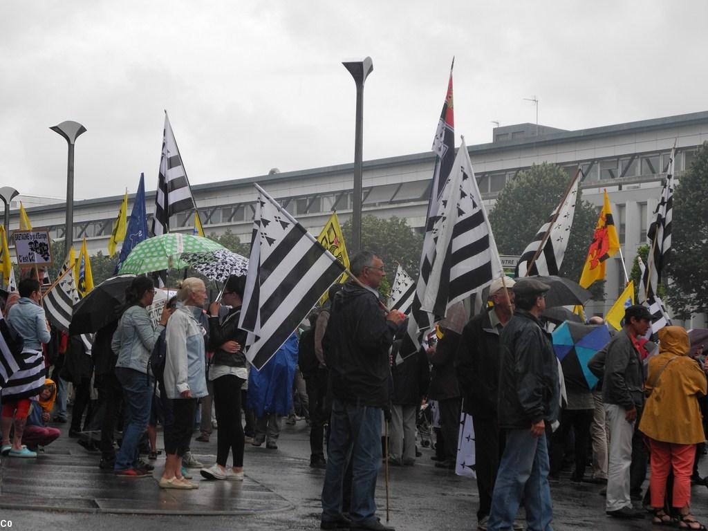 [Nantes, manifestation 28/06/2014] Avant le départ de la manifestation.