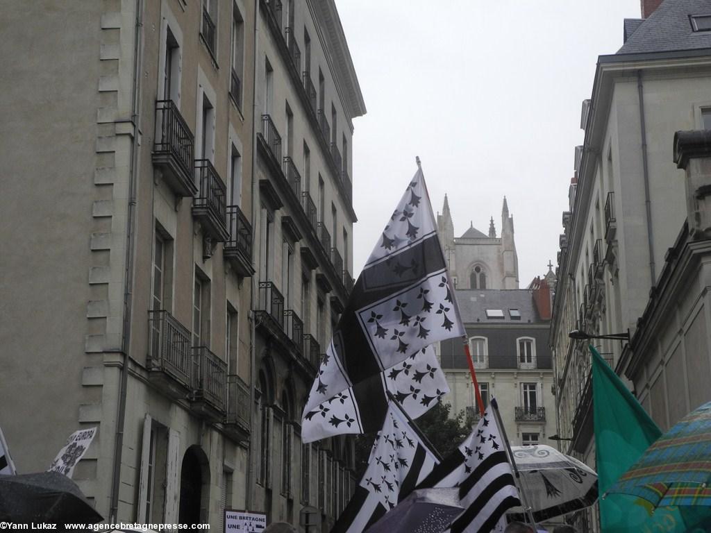[Nantes, manifestation 28/06/2014], défilé. Devant la Cathédrale.