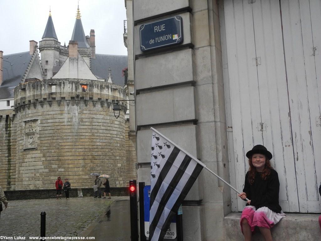 [Nantes, manifestation 28/06/2014], défilé. Devant le Château des Ducs de Bretagne.
