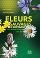 fleurs sauvages en Bretagne