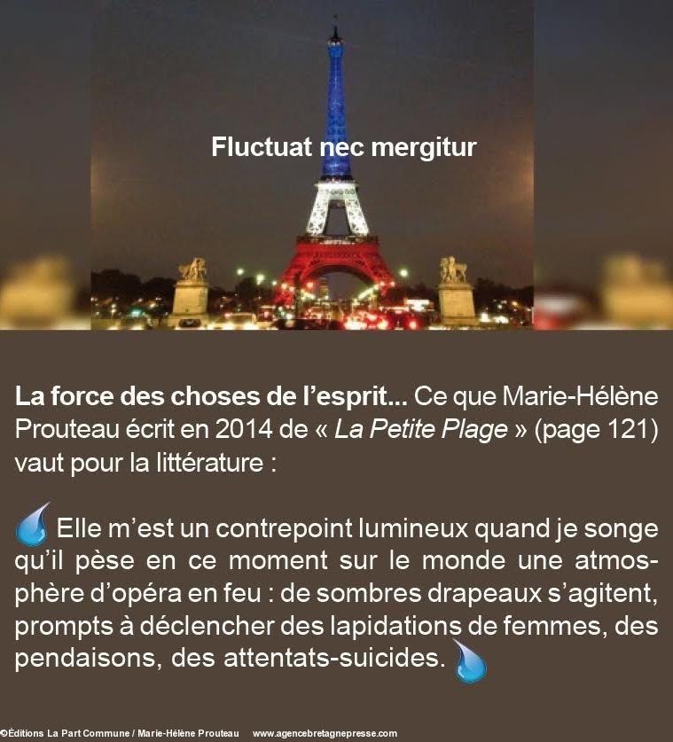 Attentats de Paris et Saint-Denis. Page 121 du livre, une phrase de Marie-Hélène Prouteau sur… les attentats-suicides. Site de l'éditeur le 17 novembre 2015.