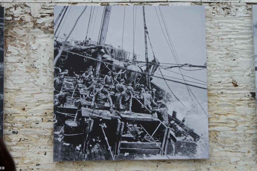 Travail de la morue à bord du Vikings dans la mer de Svalbard (1939) Collection Anita Conti
