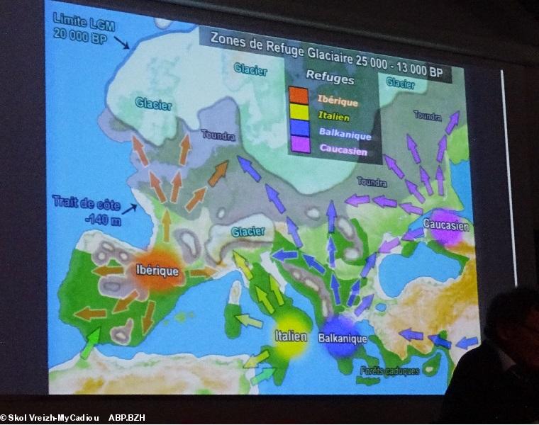 3  Carte d'Europe. Zones de refuge glaciaire : 25.000 à 13.000 bp, before present.