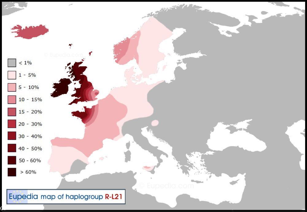 Le Haplogroupe des Celtes aussi fort en Bretagne qu'au Pays de Galles