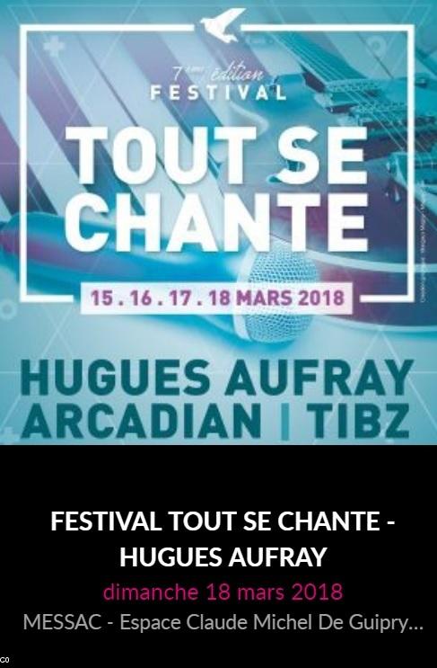 Affiche du Festival de Messac.