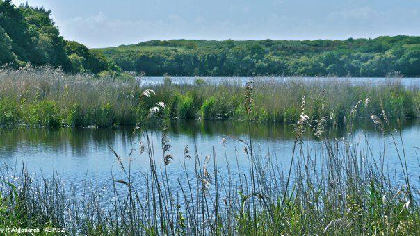 Réserve Natura 2000 de Trunvel.  Les étangs de Trunvel et de Kergalan, les plus grands étangs du Finistère, étaient menacés avec possibilités d’écoulement à travers les galets vers la baie d’Audierne.