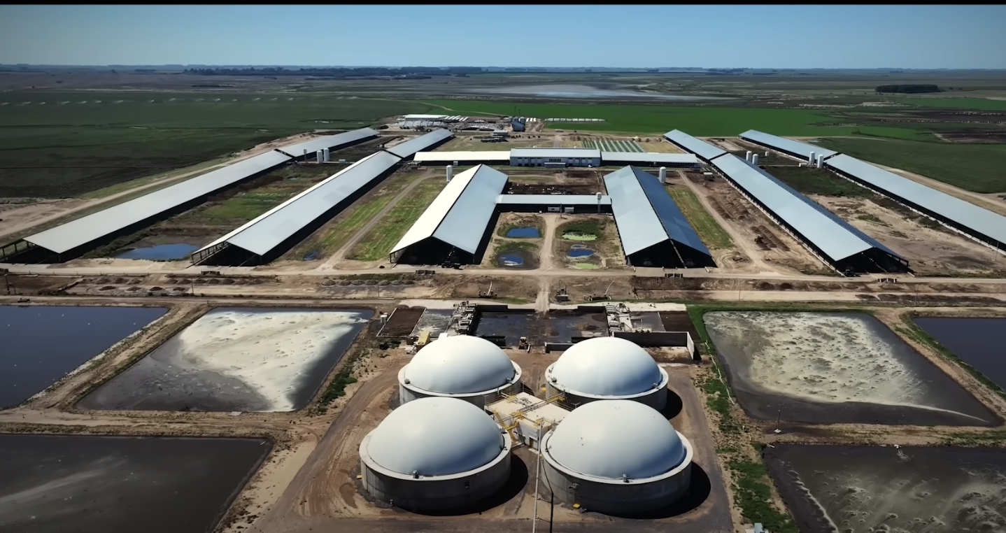 Un élevage de 18 000 vaches en Argentine (photo Youtube)