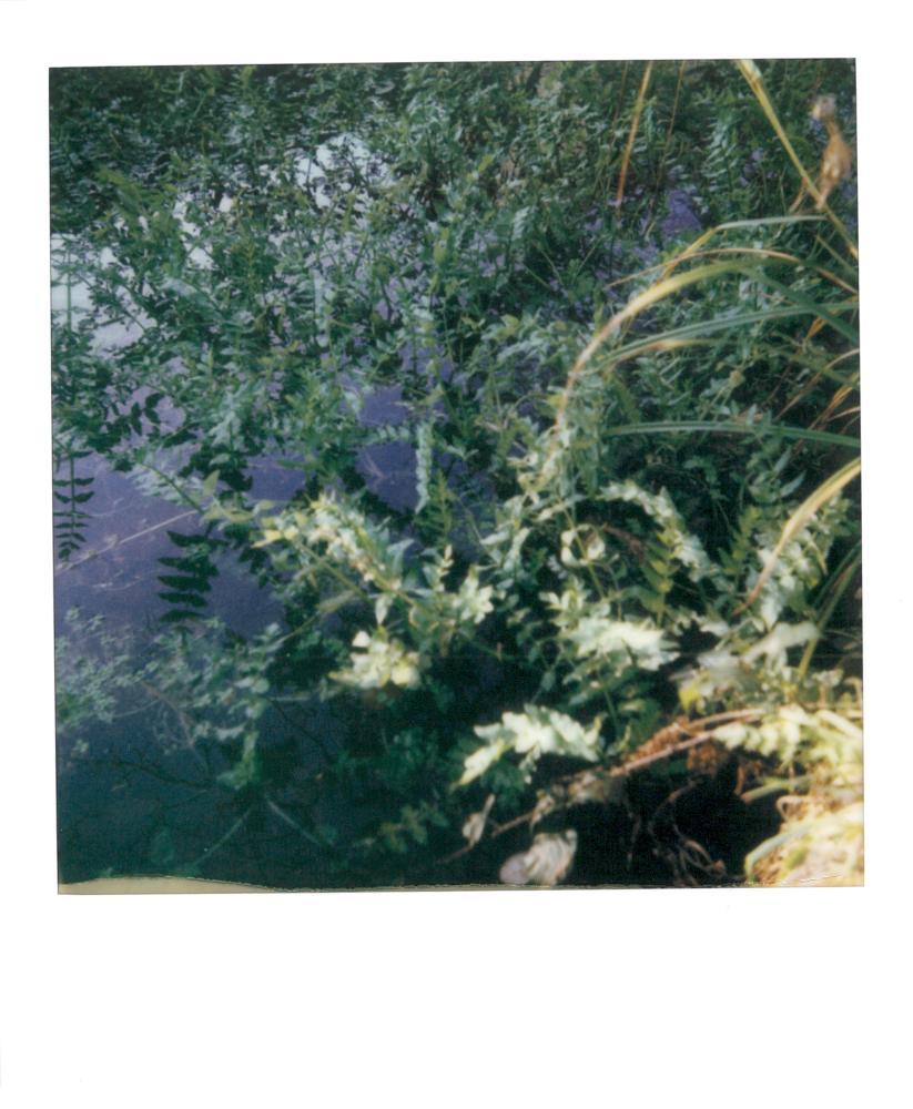 L'eau qui coule à Kerraros.