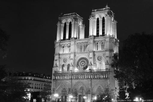 2016. La cathédrale de Paris avant l